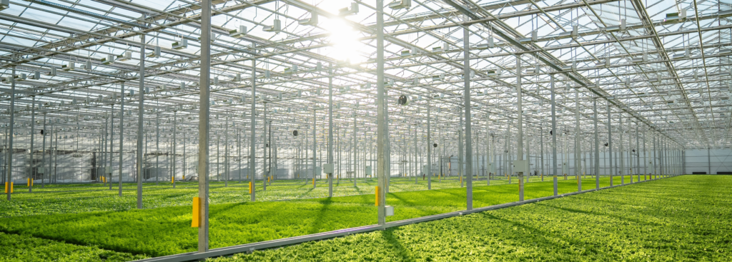 Building controlled-environment growing capacity that did not exist at scale